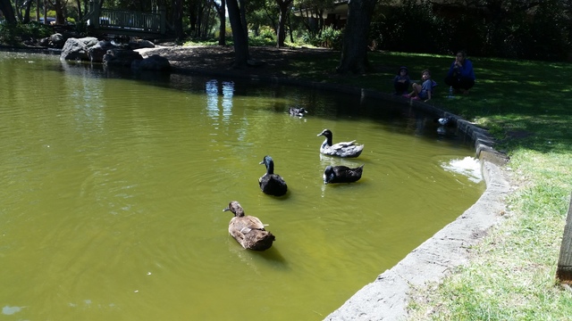 20160828_135720.jpg