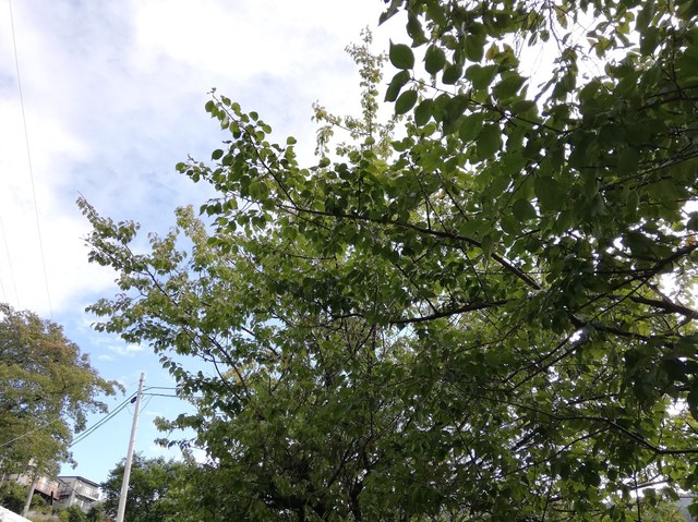 IMG_20191014_085629 (2).jpg