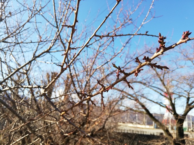 IMG_20191203_085458.jpg